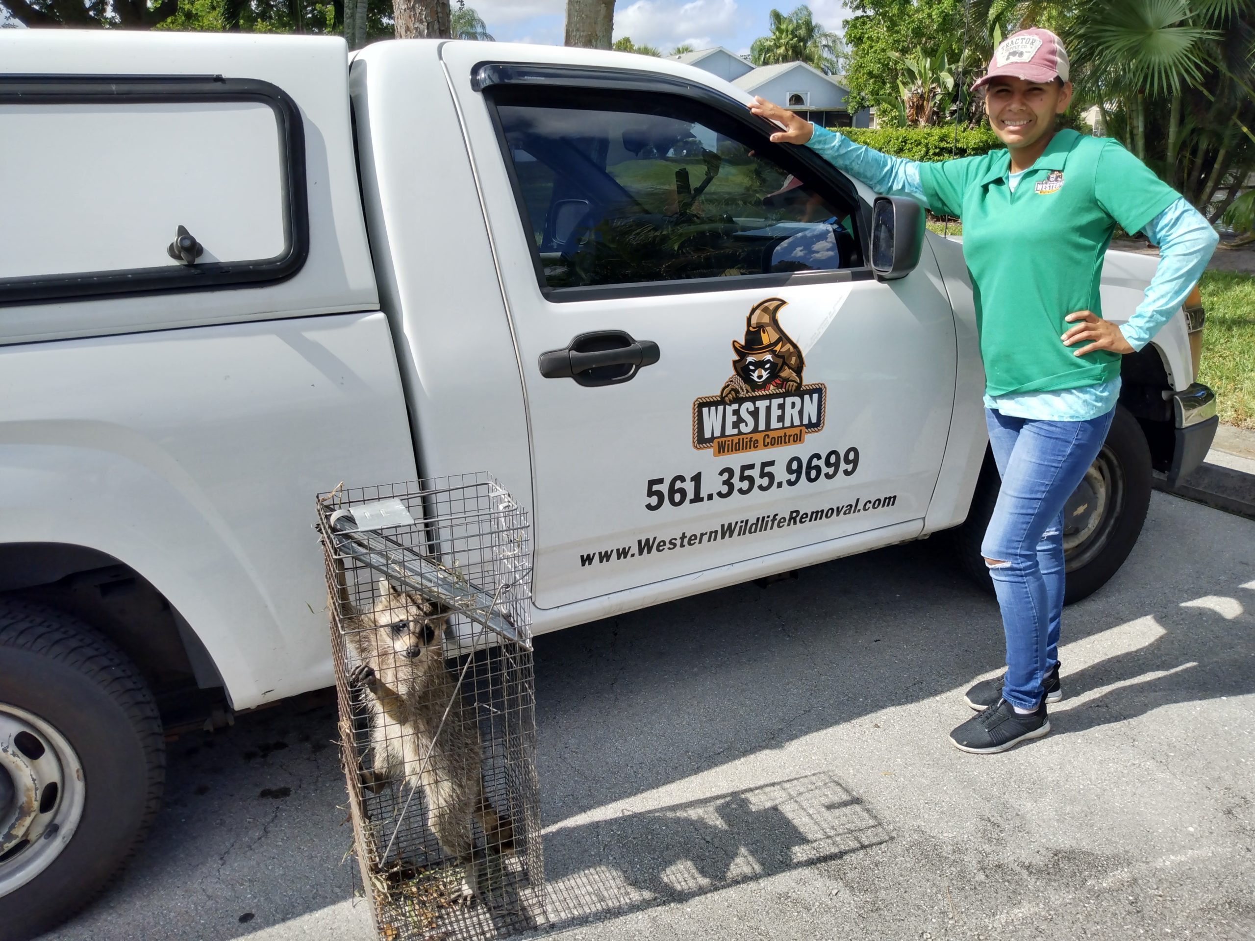 western wildlife removal