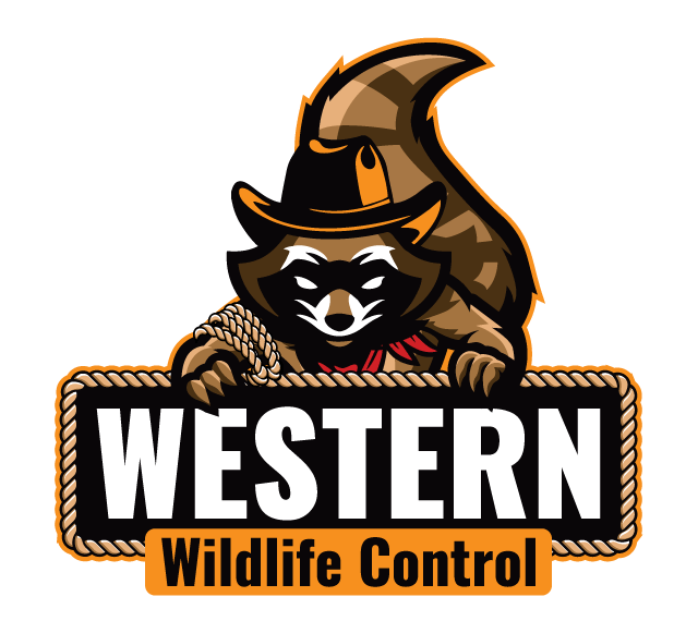 Western Wildlife Removal