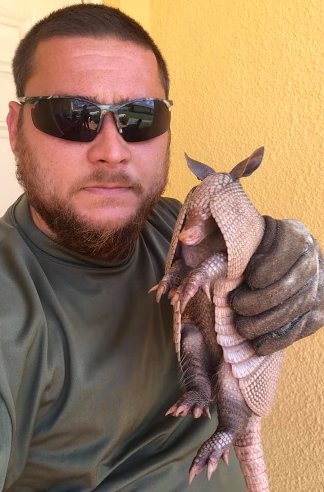 Armadillo humanely trapped racoon