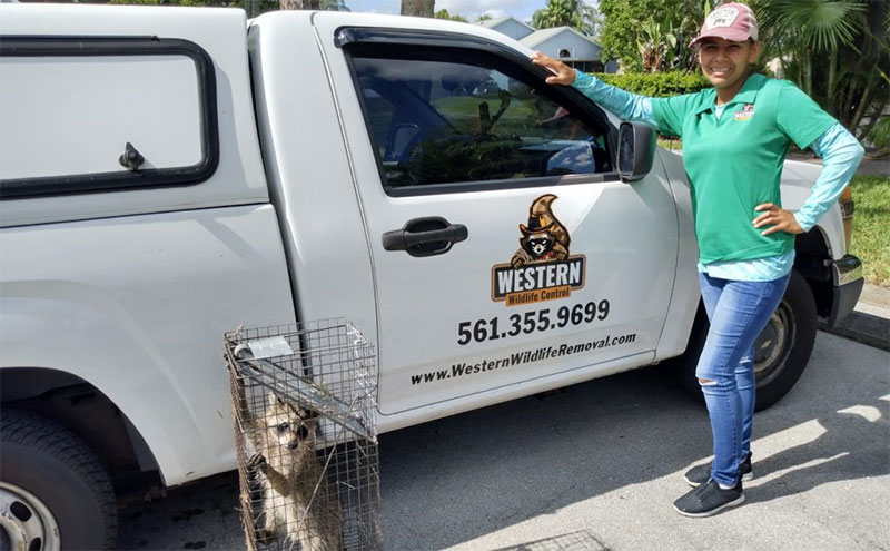 western wildlife removal mission