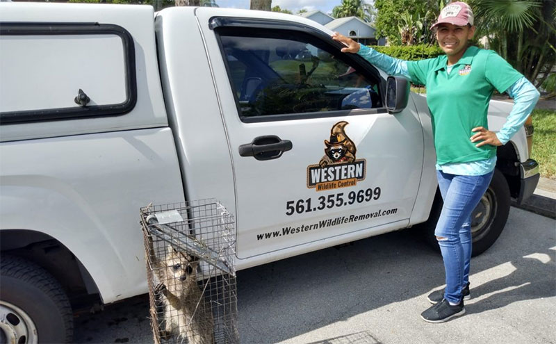our-mission western wildlife removal mission